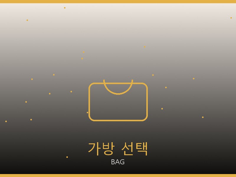 샤넬 틴 루루 레플리카 사이트 가방 선택 가이드