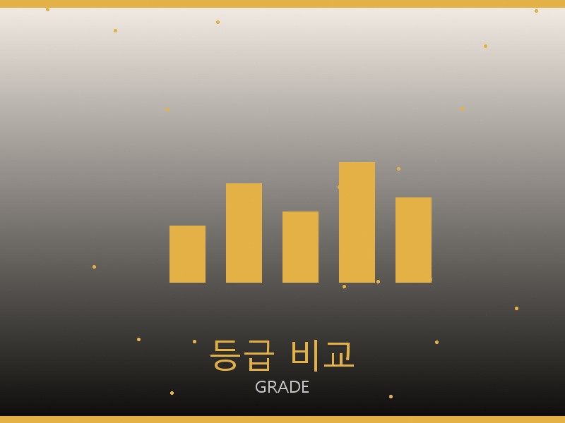 샤넬 틴 루루 레플리카 사이트 등급 기준 비교